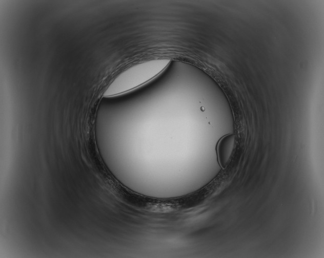 X0000086800751200704130900
