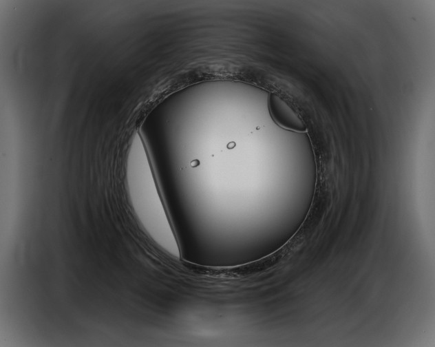 X0000086800752200704130900