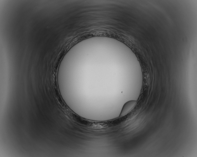X0000086800753200704130900