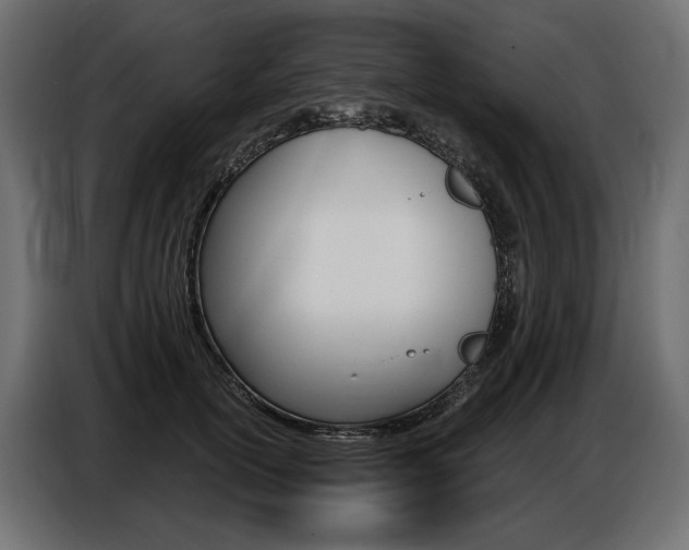 X0000086800754200704130900