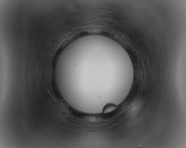 X0000086800755200704130900