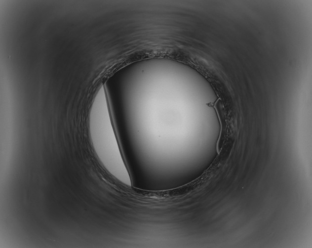 X0000086800756200704130900
