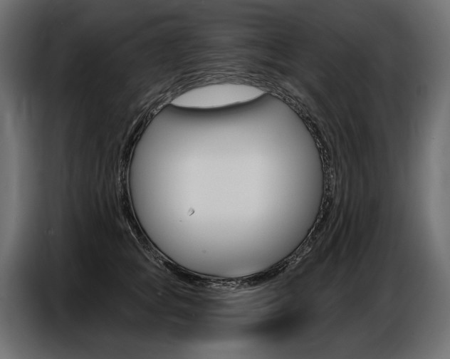 X0000086800757200704130900