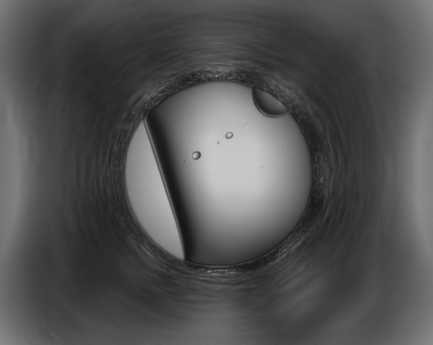 X0000086800758200704130900