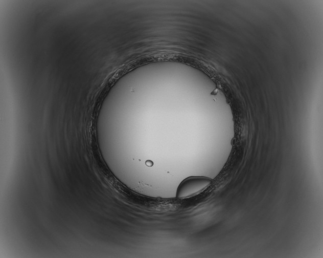 X0000086800759200704130900