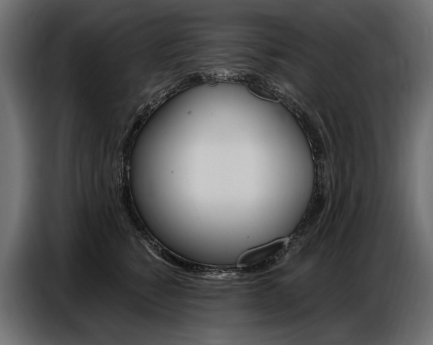 X0000086800760200704130900