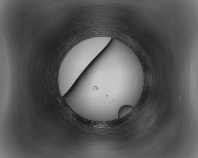 X0000086800761200704130900