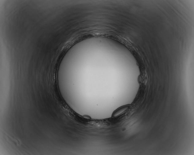 X0000086800763200704130900