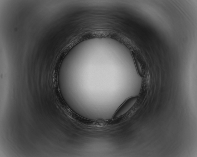 X0000086800764200704130900