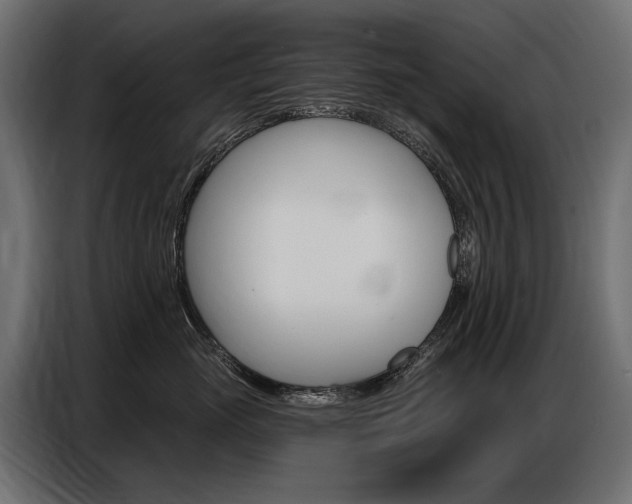 X0000086800765200704130900