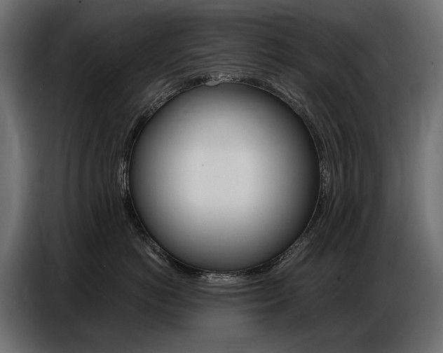 X0000086800766200704130900