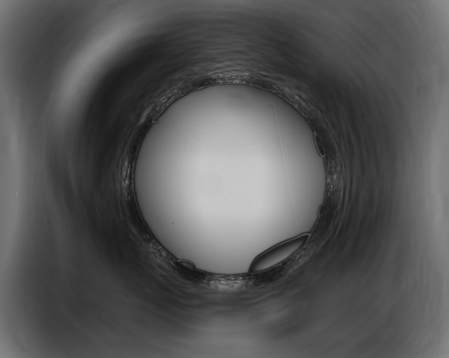 X0000086800767200704130900