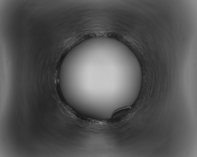 X0000086800768200704130900
