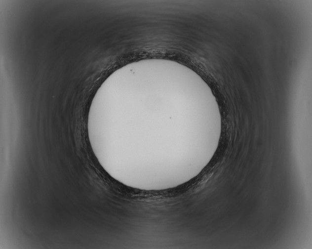 X0000086800769200704130900