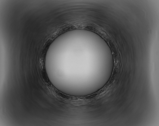 X0000086800772200704130900