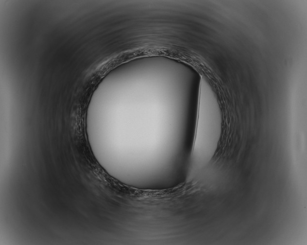 X0000086800773200704130900
