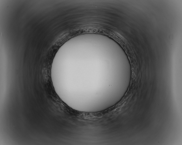 X0000086800774200704130900