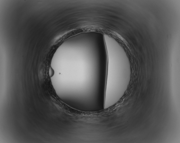 X0000086800775200704130900