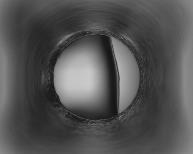 X0000086800776200704130859