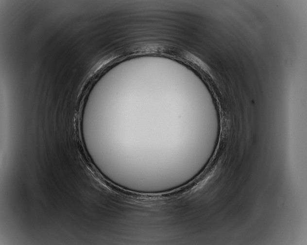 X0000086800778200704130859