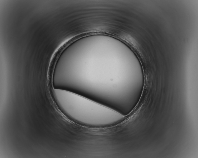 X0000086800780200704130859