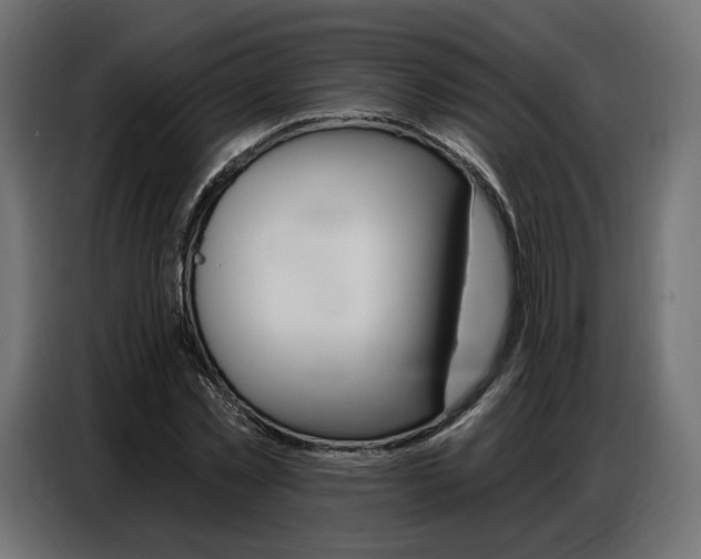 X0000086800781200704130859