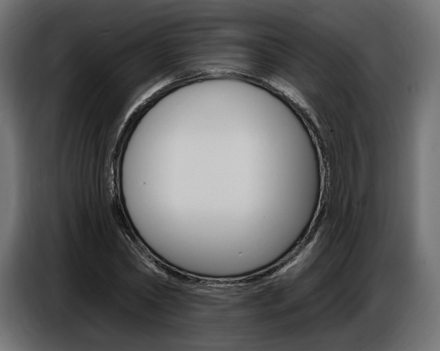 X0000086800782200704130859
