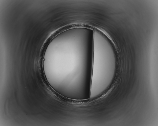X0000086800783200704130859