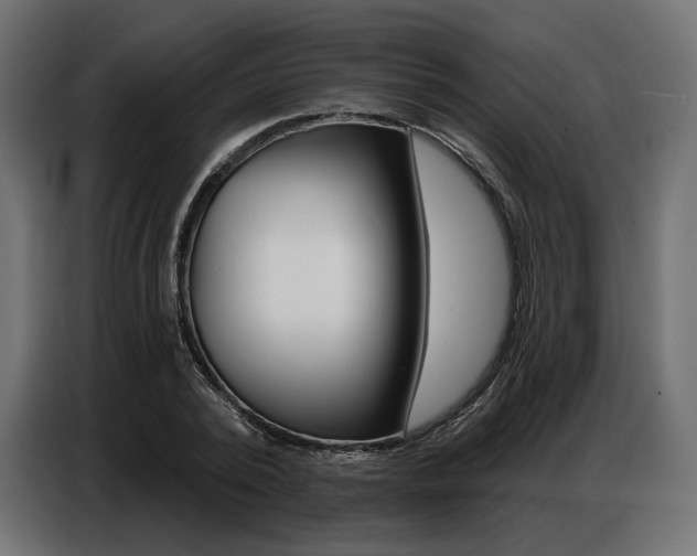 X0000086800784200704130859