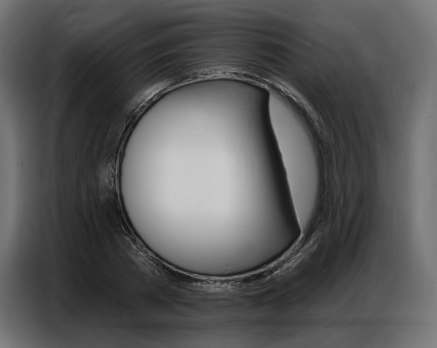 X0000086800785200704130859