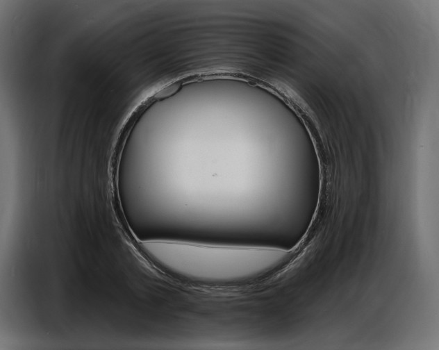 X0000086800789200704130859