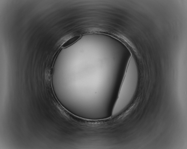 X0000086800793200704130859