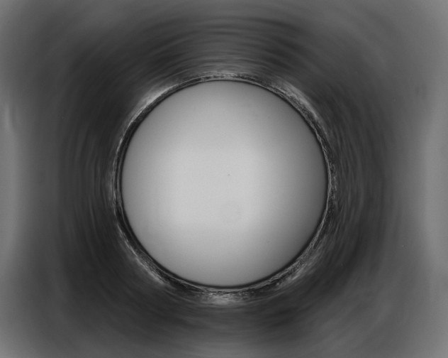 X0000086800794200704130859