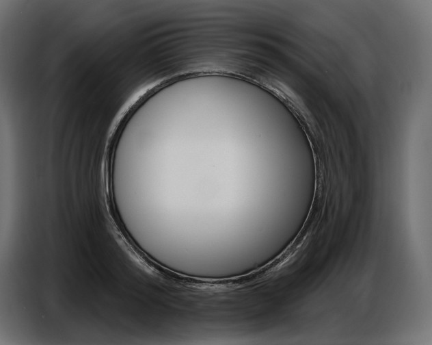 X0000086800796200704130859