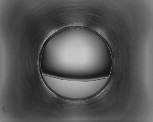 X0000086800797200704130859