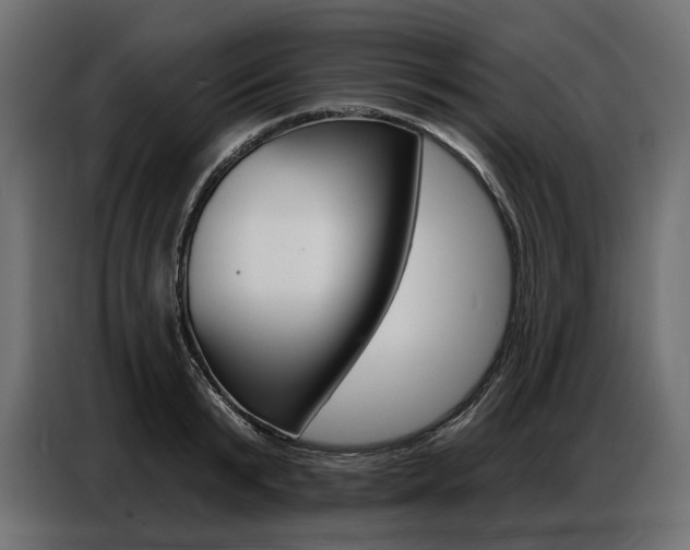 X0000086800799200704130859