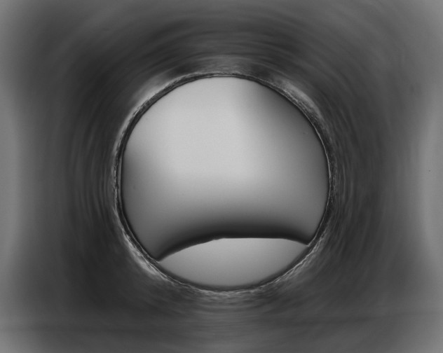 X0000086800800200704130859