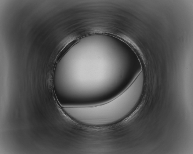 X0000086800801200704130859