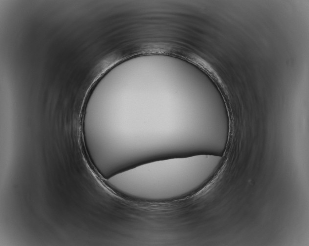 X0000086800802200704130859
