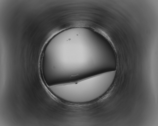 X0000086800803200704130859