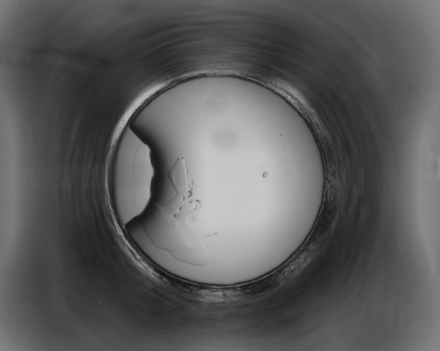 X0000086800804200704130859