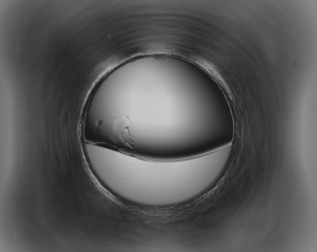 X0000086800805200704130859