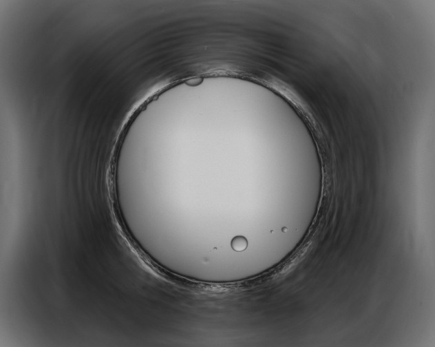 X0000086800806200704130859