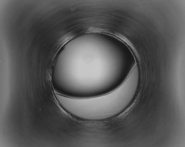 X0000086800809200704130859