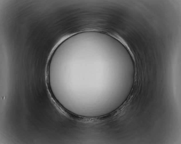 X0000086800811200704130859