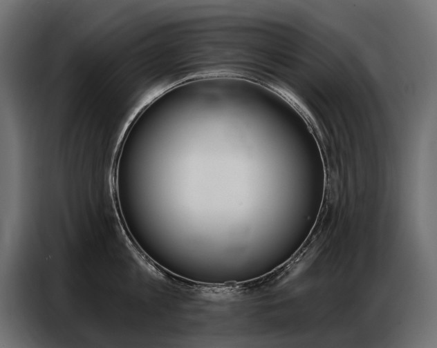 X0000086800813200704130859