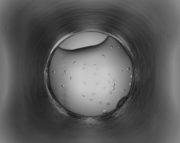 X0000086800814200704130859