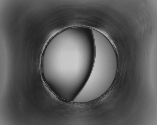 X0000086800815200704130859