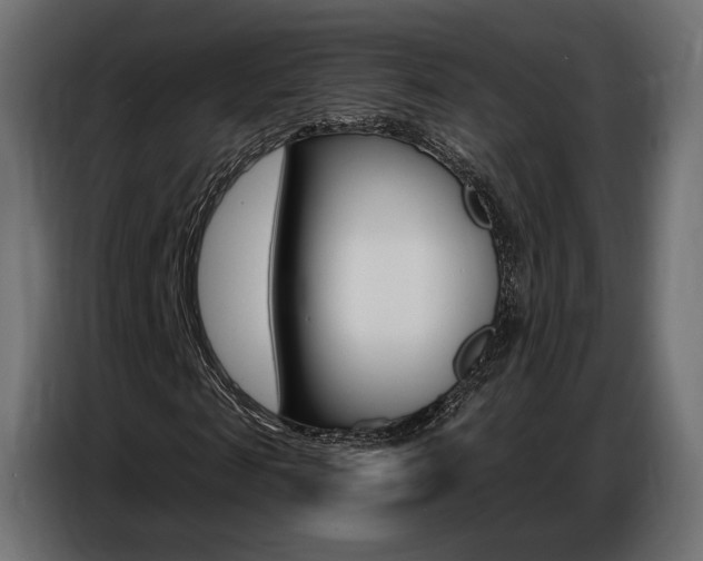 X0000086800817200704130858