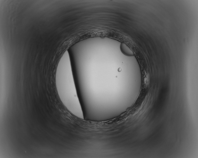 X0000086800819200704130858